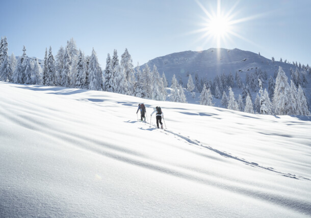     Skijanje na Gartnerkofelu (Sonnenalpe Nassfeld) 